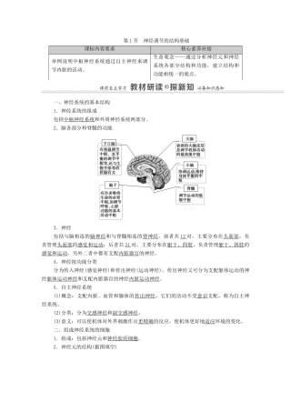 高中生物 第2章 神经调节 第1节 神经调节的结构基础学案 新人教版选择性必修1-新人教版高中选择性必修1生物学案