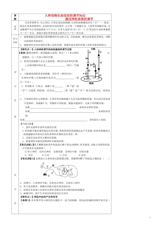 高中生物 2.1通过神经系统的调节（第2课时）导学案 新人教版必修3-新人教版高二必修3生物学案