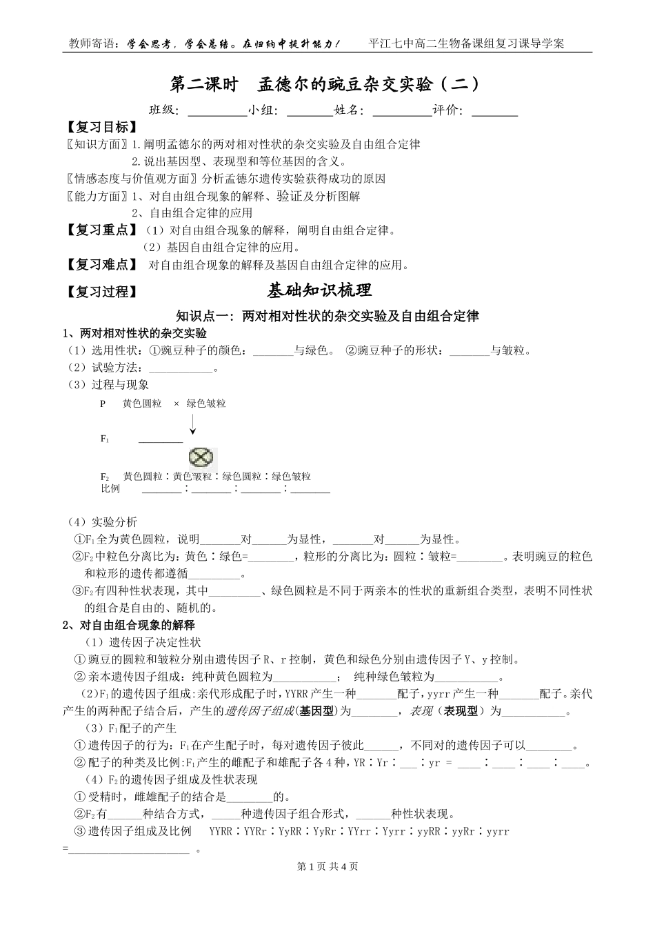 第2课时  孟德尔的豌豆杂交实验(二）_第1页