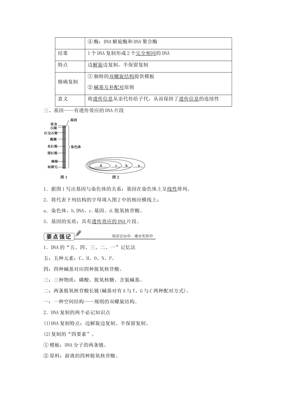 高考生物总复习 第6单元 第18讲 DNA分子的结构DNA的复制学案-人教版高三全册生物学案_第2页