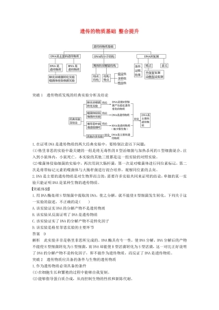 高中生物 3.1 遗传的物质基础 整合提升学案 中图版必修2-中图版高中必修2生物学案