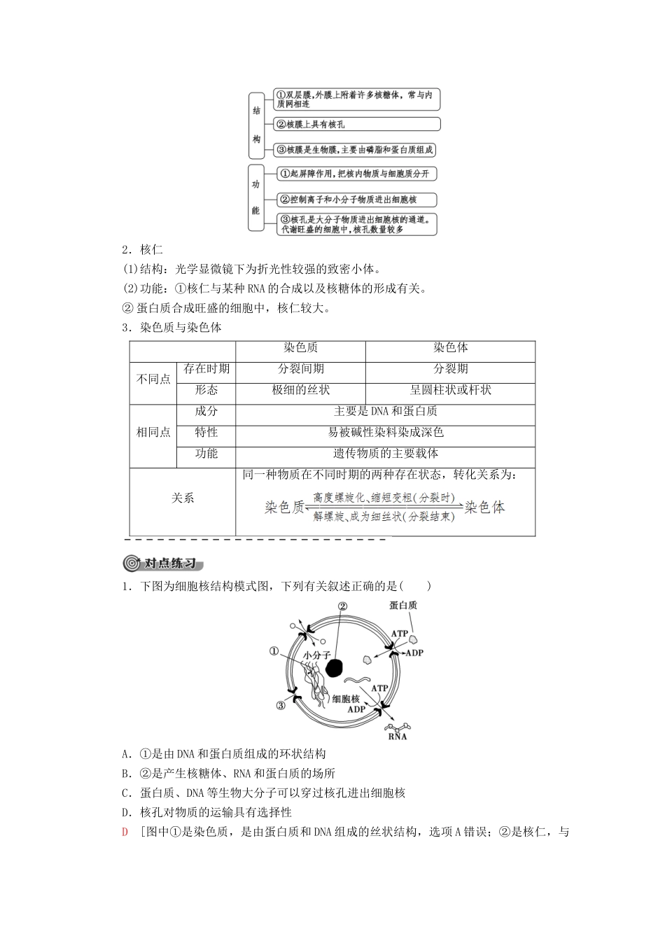 高中生物 第3章 细胞的基本结构 第3节 细胞核——系统的控制中心学案 新人教版必修1-新人教版高一必修1生物学案_第3页