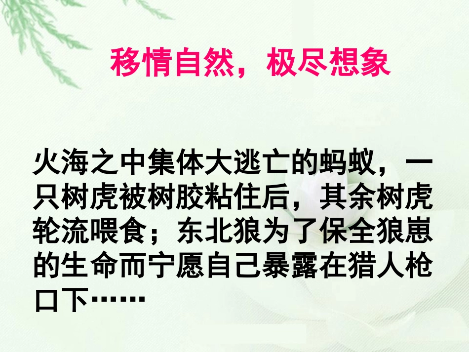 人教版六年级上口语交际习作一(原创)_第3页