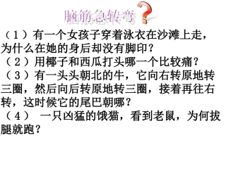 大脑课件PPT下载苏教版五年级科学下册课件