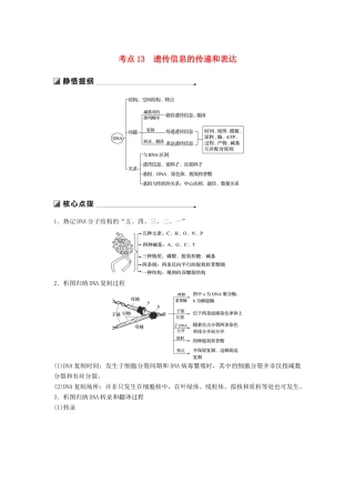 （江苏专用）高考生物二轮复习 专题四 遗传的分子基础 考点13 遗传信息的传递和表达学案-人教版高三全册生物学案