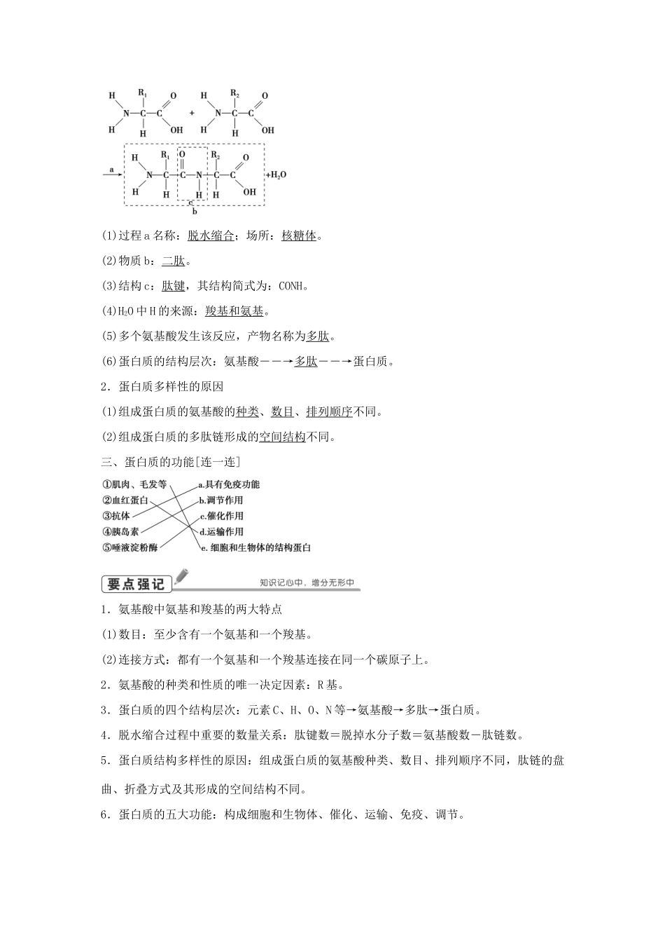 高考生物总复习 第1单元 第3讲 生命活动的主要承担者学案-人教版高三全册生物学案_第2页