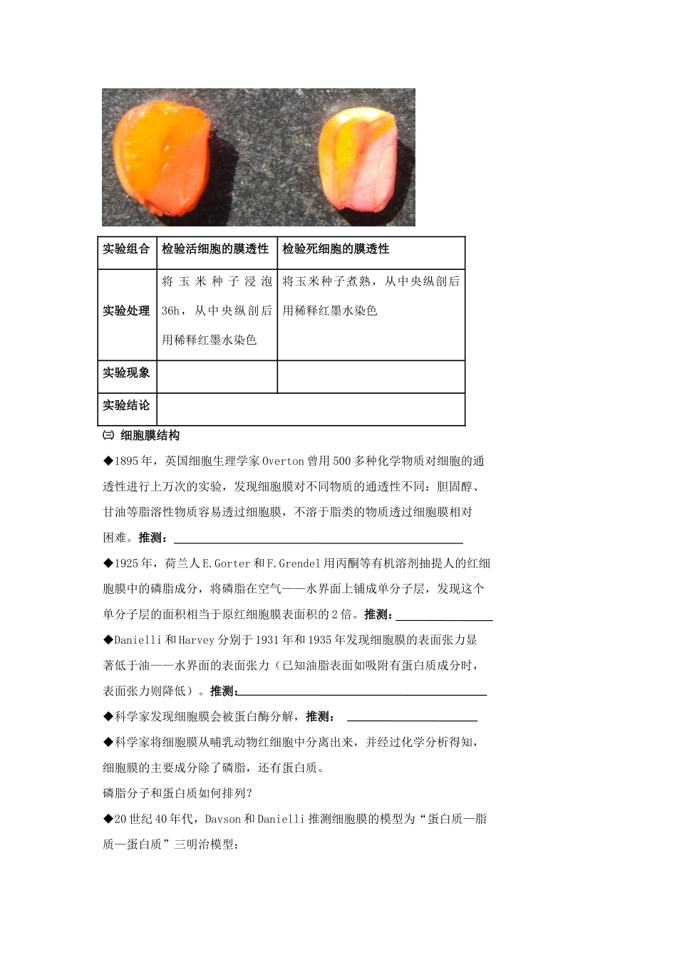 高考生物专题复习 4细胞的结构（细胞壁和细胞膜）学案-人教版高三全册生物学案_第2页
