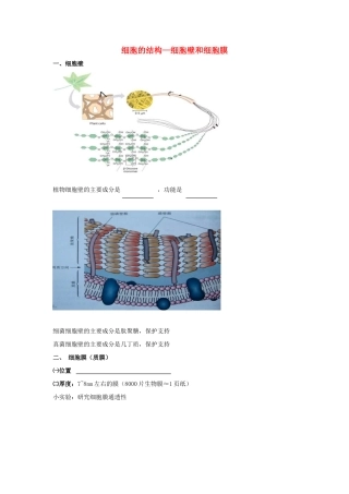 高考生物专题复习 4细胞的结构（细胞壁和细胞膜）学案-人教版高三全册生物学案