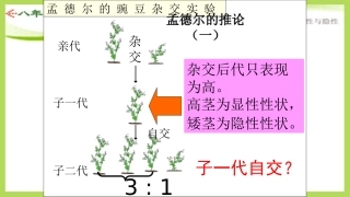 孟德尔的推论