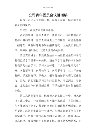 公司青年团员会议讲话稿