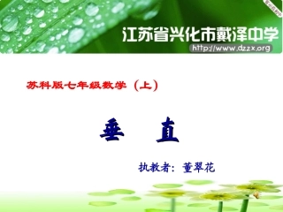 垂直（董翠花）