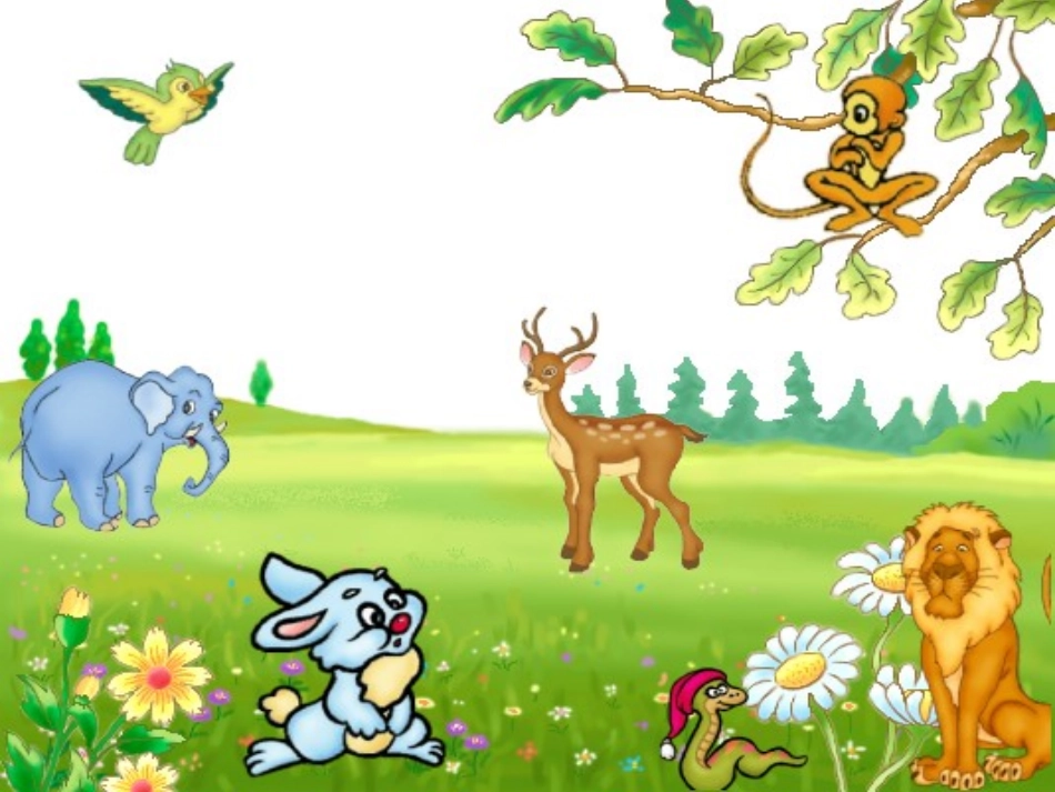 鸟岛（速读）_第2页