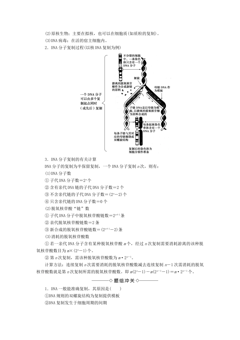 高中生物 第3单元 遗传与变异的分子基础 第1章 遗传的物质基础 第3节 DNA的复制学案 中图版必修2-中图版高一必修2生物学案_第2页