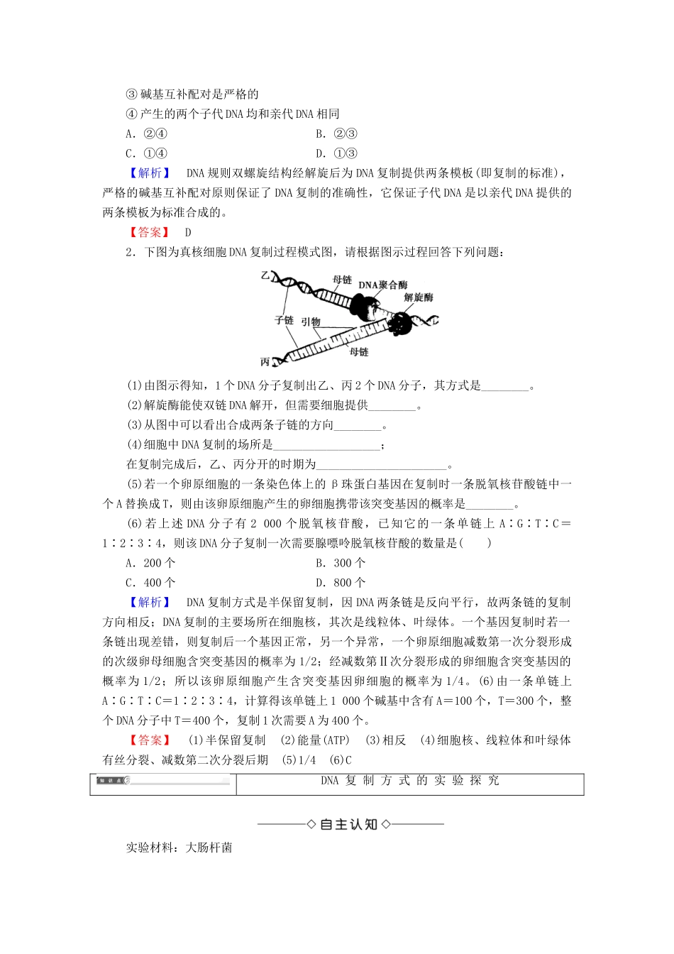 高中生物 第3单元 遗传与变异的分子基础 第1章 遗传的物质基础 第3节 DNA的复制学案 中图版必修2-中图版高一必修2生物学案_第3页