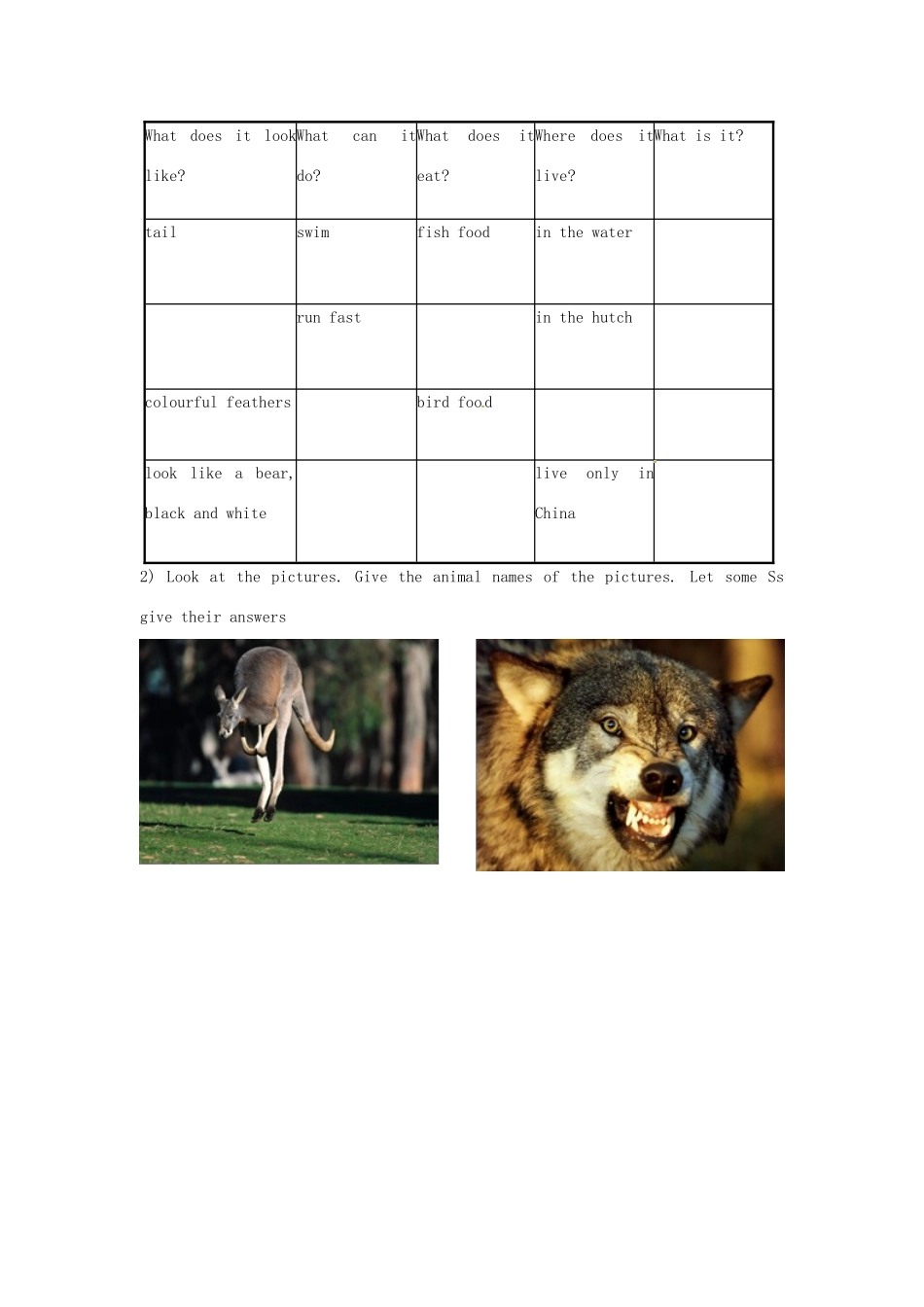 八年级英语上册 Unit 5 Wild animals Welcome to the unit教案 （新版）牛津版-（新版）牛津版初中八年级上册英语教案_第2页