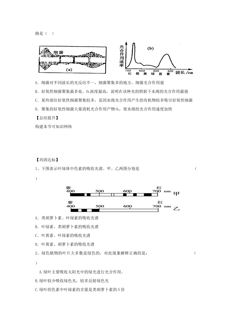高中生物 5.4 能量之源—光与光合作用导学案1 新人教版必修1-新人教版高一必修1生物学案_第3页
