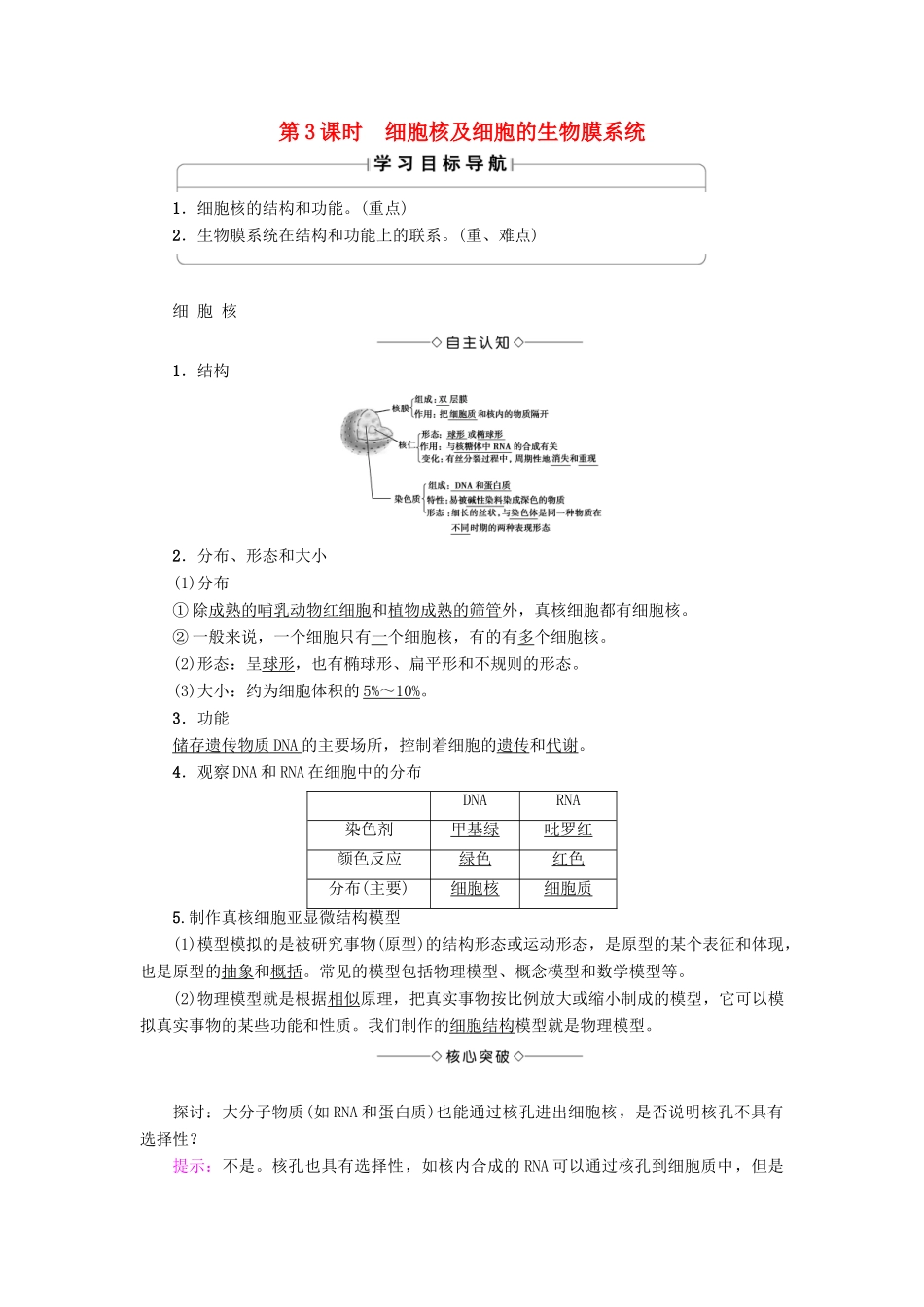 高中生物 第3章 细胞的结构和功能 第2节 细胞的类型和结构（第3课时）细胞核及细胞的生物膜系统学案 苏教版必修1-苏教版高一必修1生物学案_第1页
