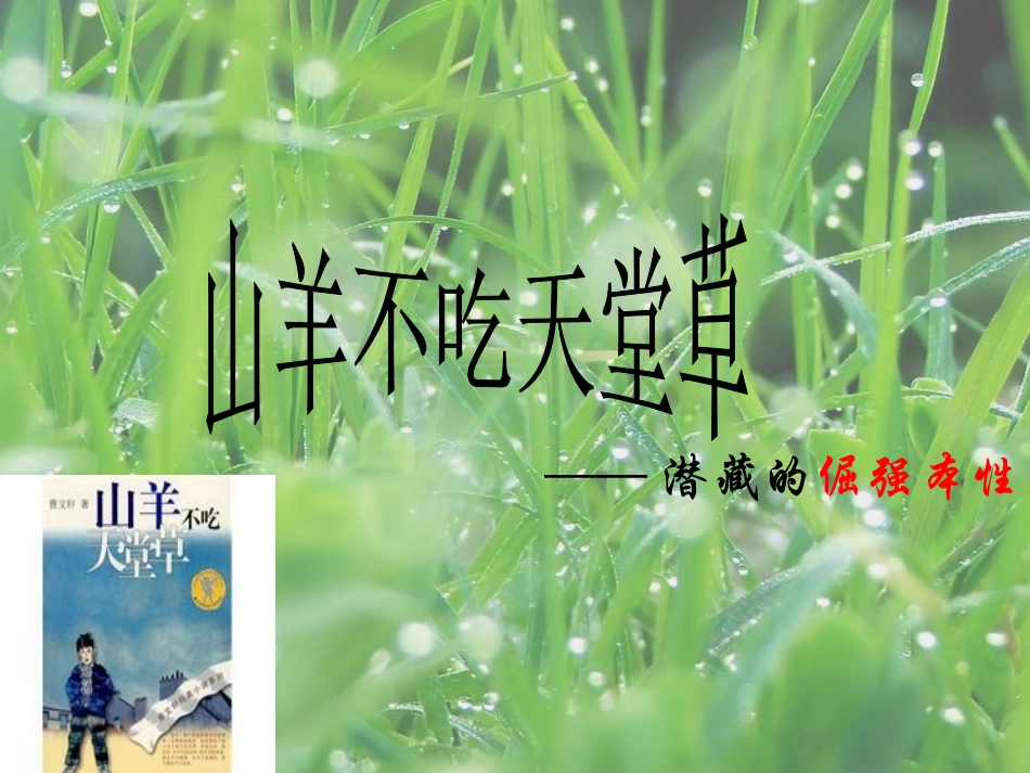山羊不吃天堂草_第1页