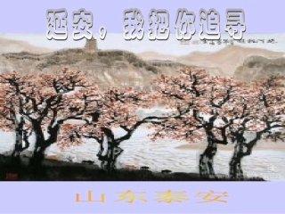 延安_我把你追寻