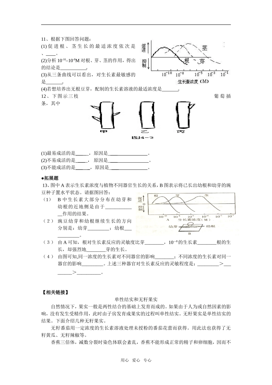 3.2生长素的生理作用_第3页