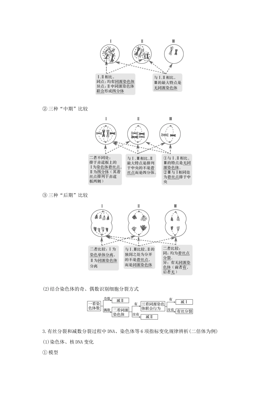 高考生物 第五单元 细胞的生命历程 考点加强课2 减数分裂与有丝分裂的比较及减数分裂与可遗传变异的关系学案 中图版必修1-中图版高三必修1生物学案_第2页