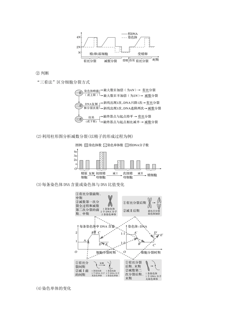 高考生物 第五单元 细胞的生命历程 考点加强课2 减数分裂与有丝分裂的比较及减数分裂与可遗传变异的关系学案 中图版必修1-中图版高三必修1生物学案_第3页