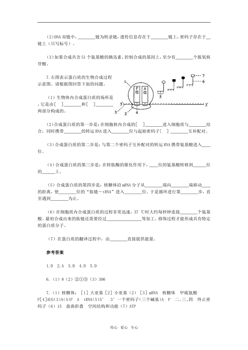 第4章 基因的表达　变式训练_第2页
