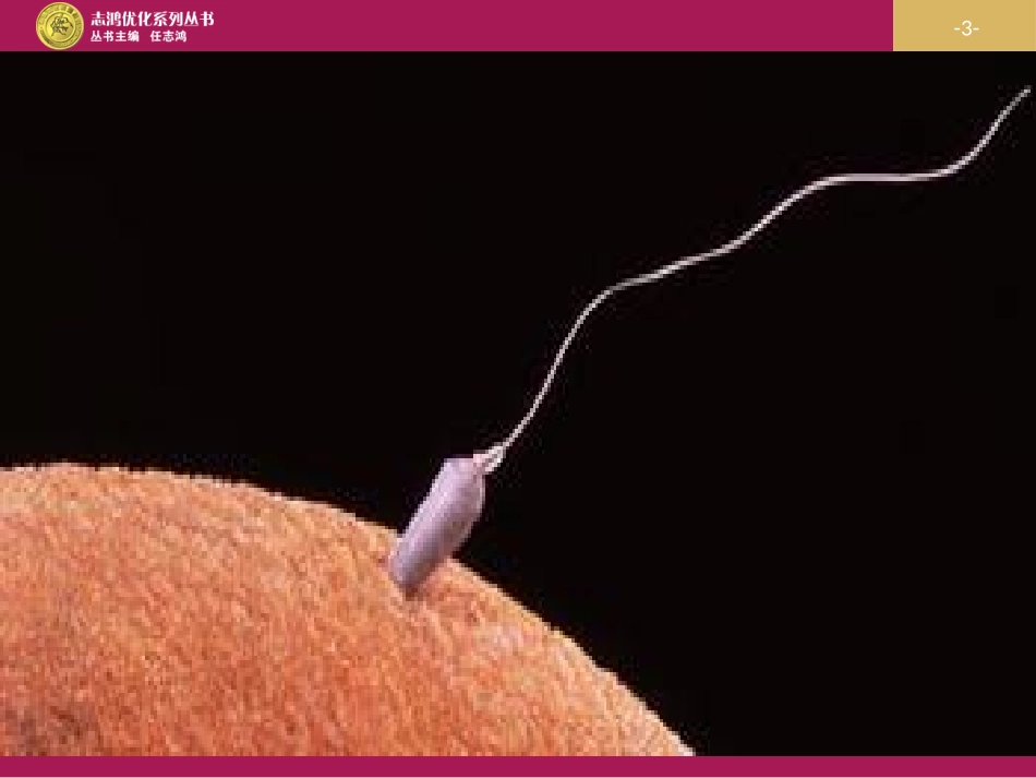 受精作用设计一（审）_第3页