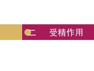 受精作用设计一（审）