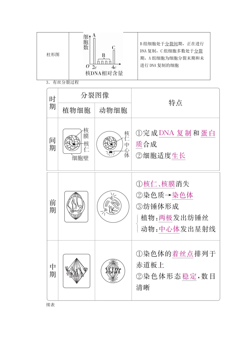 （全国版）高考生物一轮复习 第12讲 细胞的有丝分裂培优学案-人教版高三全册生物学案_第2页