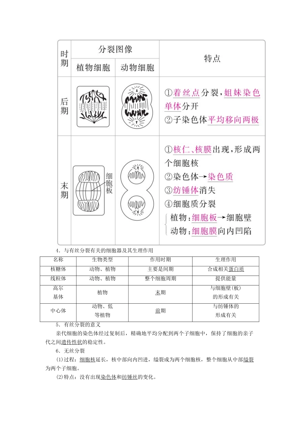 （全国版）高考生物一轮复习 第12讲 细胞的有丝分裂培优学案-人教版高三全册生物学案_第3页