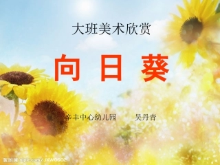 大班美术欣赏《向日葵》