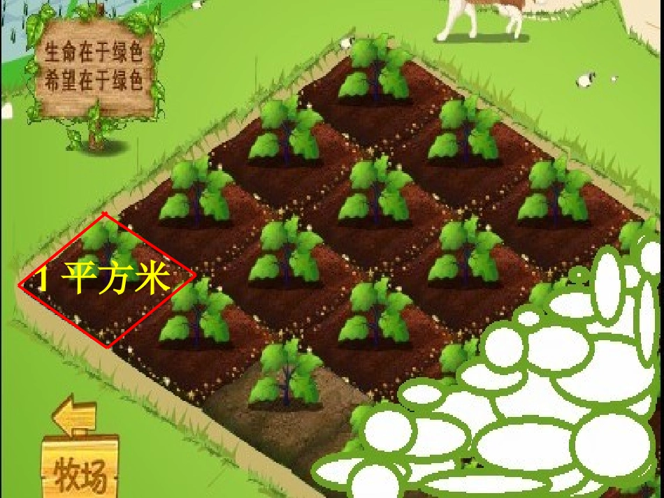 长方形正方形面积计算课件_第2页