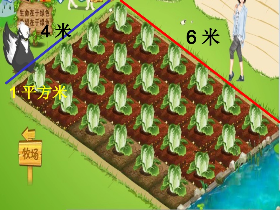 长方形正方形面积计算课件_第3页