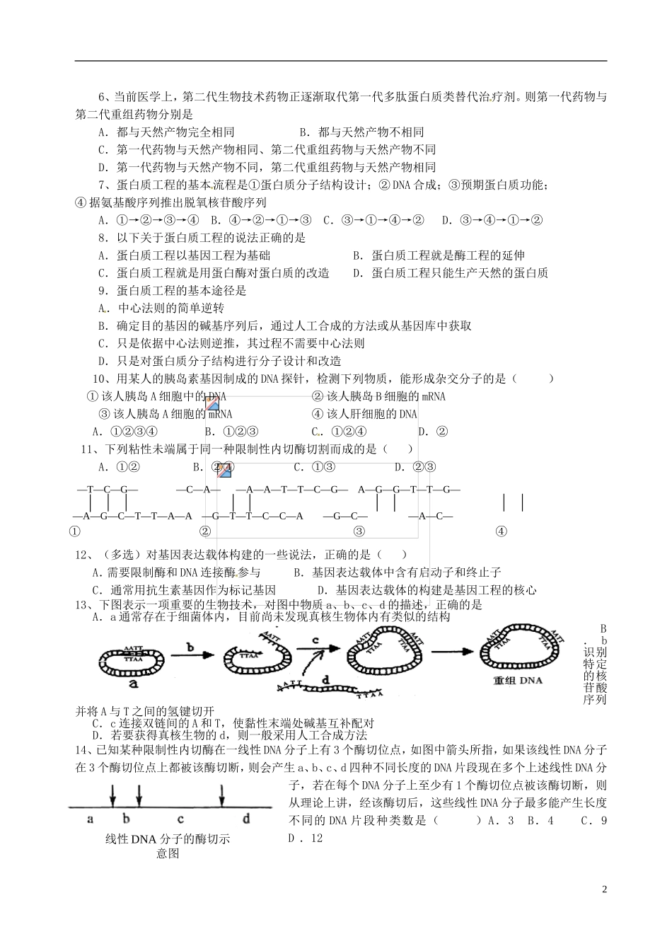 高三生物一轮复习 蛋白质工程的崛起学案-人教版高三全册生物学案_第2页