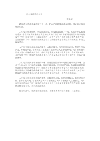 精致的生活MicrosoftWord文档