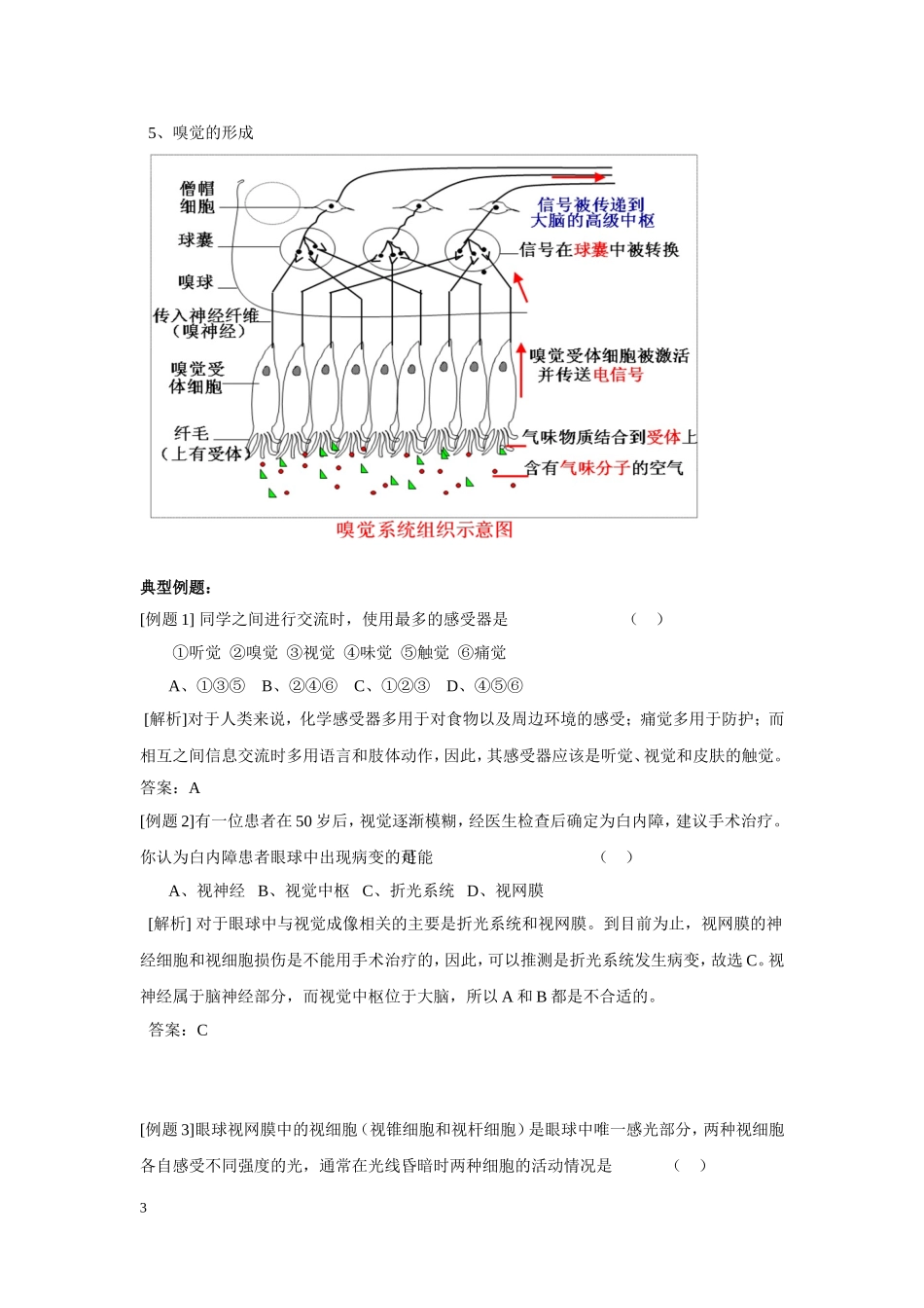 E7物体对信息的传递和调节（第1~2节）_第3页