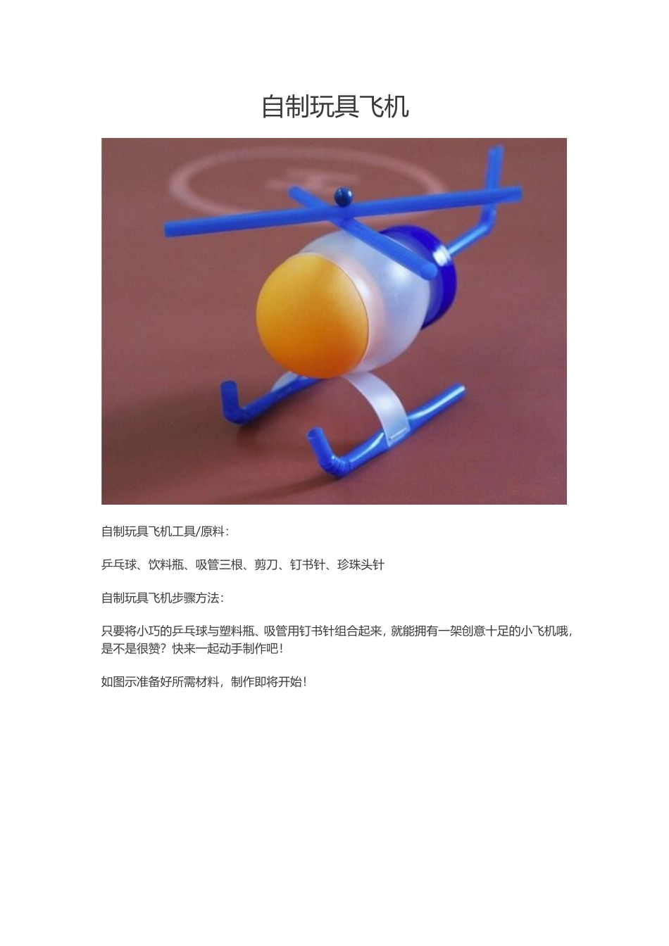 薛丽珍-自制玩具飞机-党政_第1页