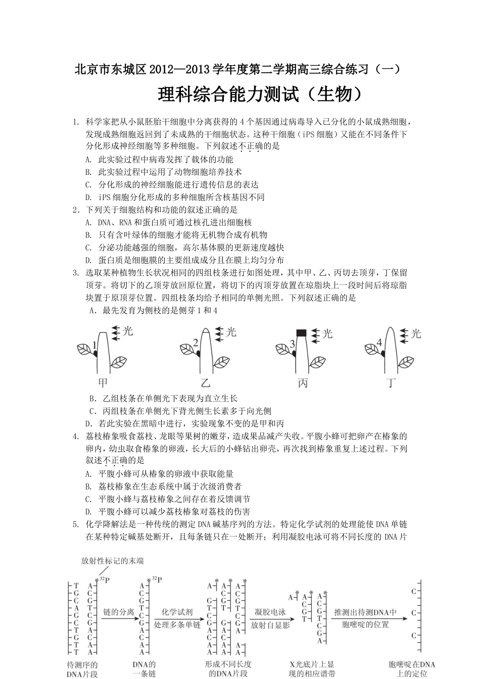 北京市东城区高三综合练习_第1页