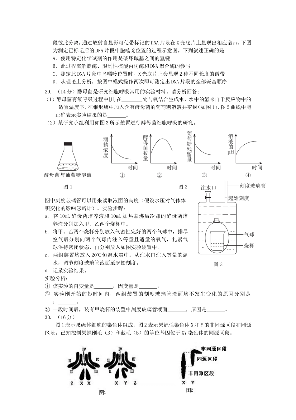 北京市东城区高三综合练习_第2页