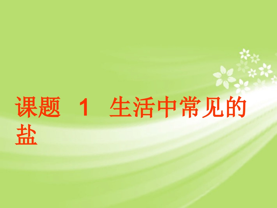 广东省珠海十中九年级化学下册《11.1 生活中常见的盐（第一课时）》课件 新人教版_第1页