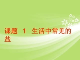 广东省珠海十中九年级化学下册《11.1 生活中常见的盐（第一课时）》课件 新人教版
