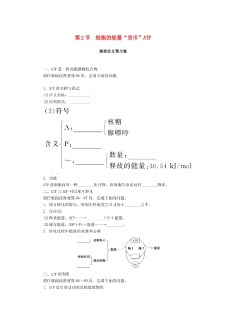 高中生物 第5章 细胞的能量供应和利用 第2节 细胞的能量“货币”ATP学案 新人教版必修1-新人教版高一必修1生物学案