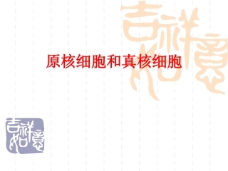 原核细胞和真核细胞