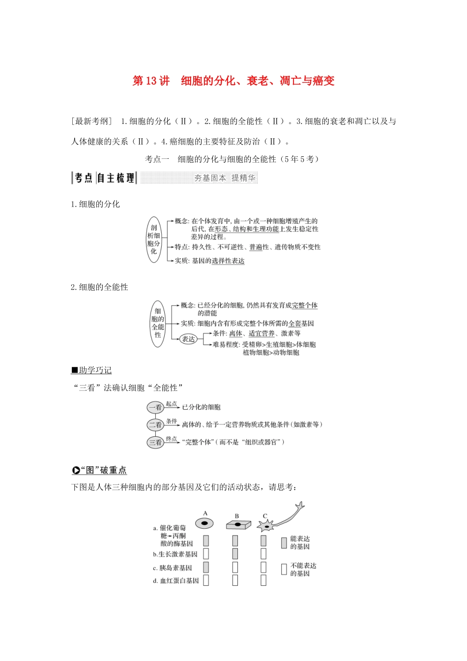 高考生物一轮复习 第四单元 细胞的生命历程 第13讲 细胞的分化、衰老、凋亡与癌变学案-人教版高三全册生物学案_第1页