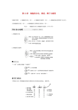 高考生物一轮复习 第四单元 细胞的生命历程 第13讲 细胞的分化、衰老、凋亡与癌变学案-人教版高三全册生物学案