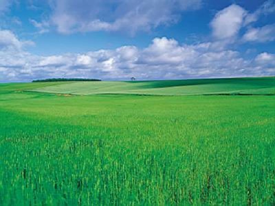 古诗《敕勒歌》_第2页