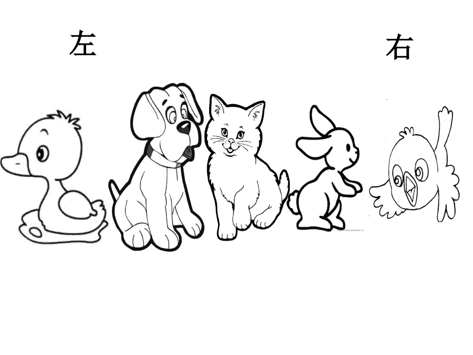 中班数学：小动物排队_第2页