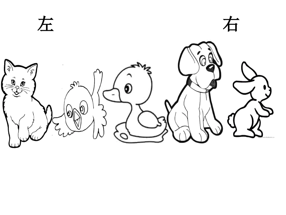 中班数学：小动物排队_第3页