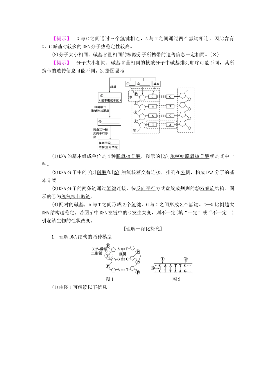 高考生物一轮复习 第6单元 遗传的分子基础 第2讲 DNA分子的结构、复制与基因的本质学案 苏教版-苏教版高三全册生物学案_第2页